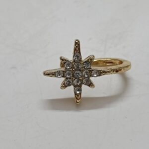 Star nosepin